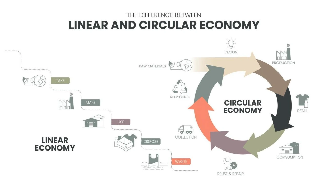 Image describing the difference between Circular Economy and Linear Economy 