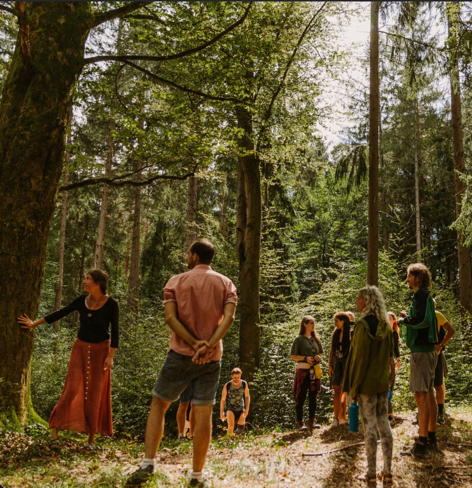 a group of curious and motivated people come together to have a workshop on a forest, connecting with nature and letting nature educate them about better and more harmonious ways of living, existing, working, creating