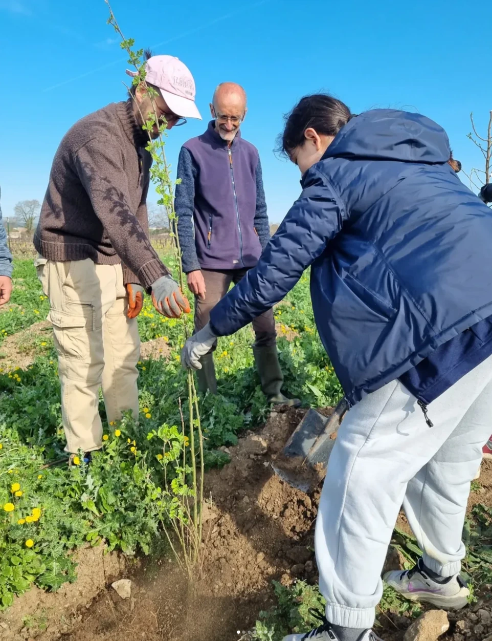 ecological regeneration - youth and elders come together to share knowledge and skills around ecological regeneration, restoration