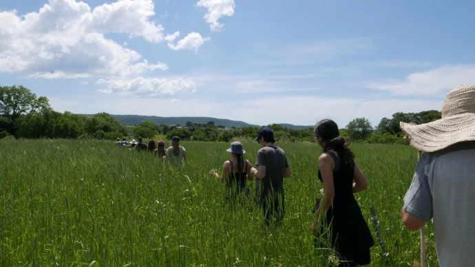 political ecology, deep ecology, deep listening, learning with and from nature